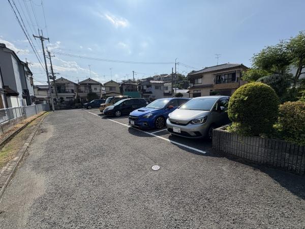 Ｐｅａｒ　Ｃｏｕｒｔ