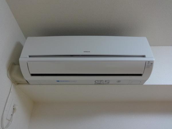 アルファコート