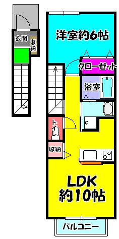クリプトメリア　アヴェニュー