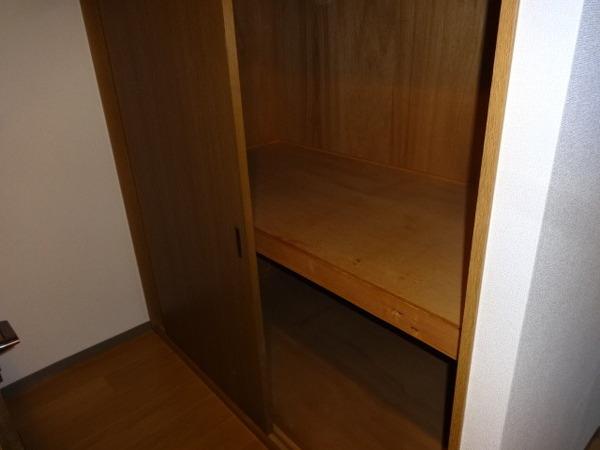サウスタウンF(収納)