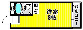 アドバンス錦織