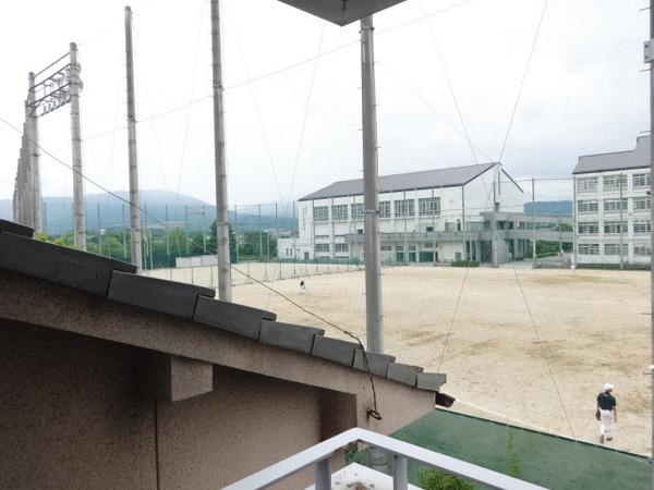 Rinon谷川