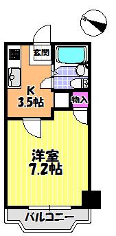 レディース金剛