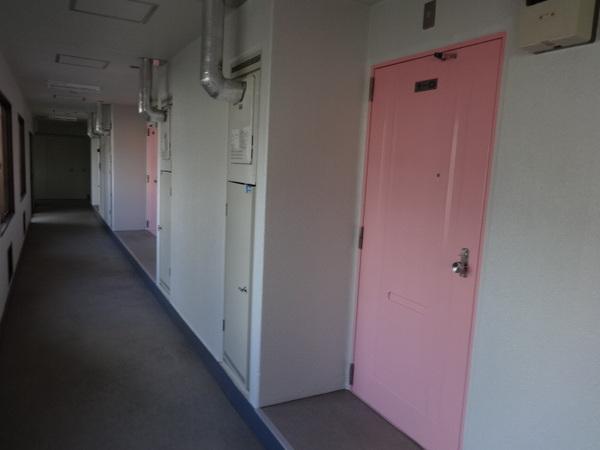 レディース金剛