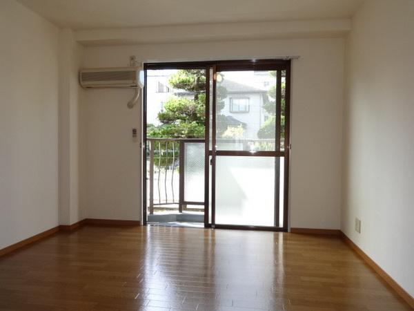 レディース金剛