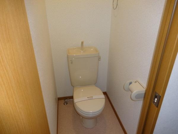 レディース金剛