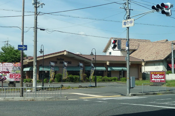 ヴィラ　ナカヤマ(ビッグボーイ狭山店)