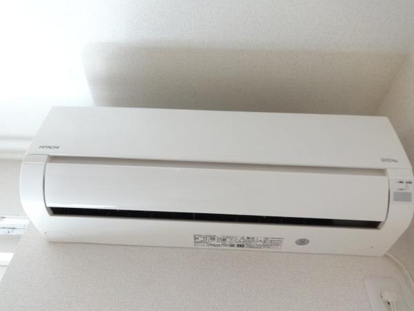 ヴェルデ アッカ(その他)