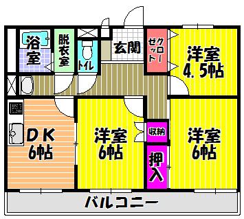 ソルジェンテ金剛