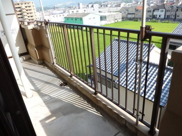 ライゼックス富田林