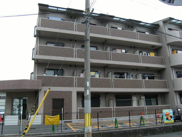 エレガンシア金剛