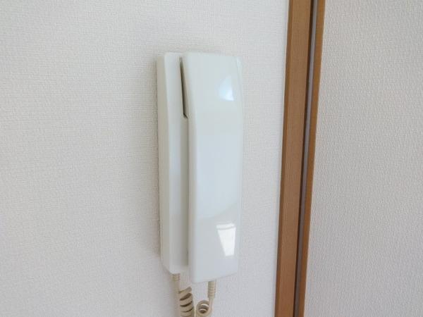 バイオレット輝