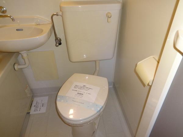バイオレット輝