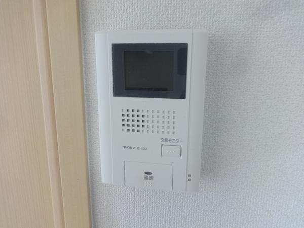 クリプトメリア　アヴェニュー