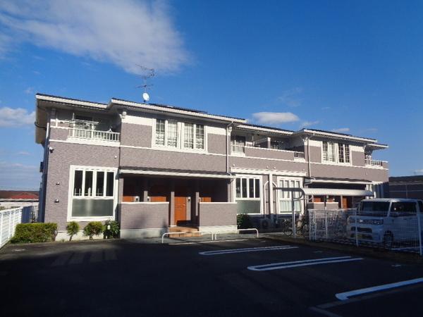 シェーネ エレガンシア