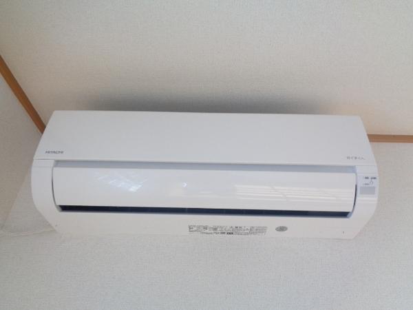 シェーネ　エレガンシア