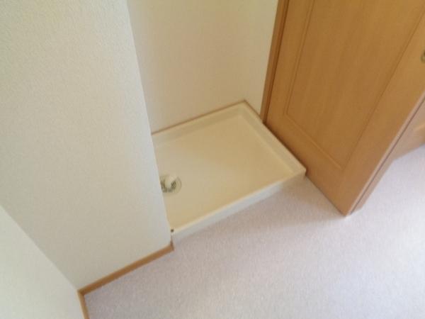 シェーネ　エレガンシア