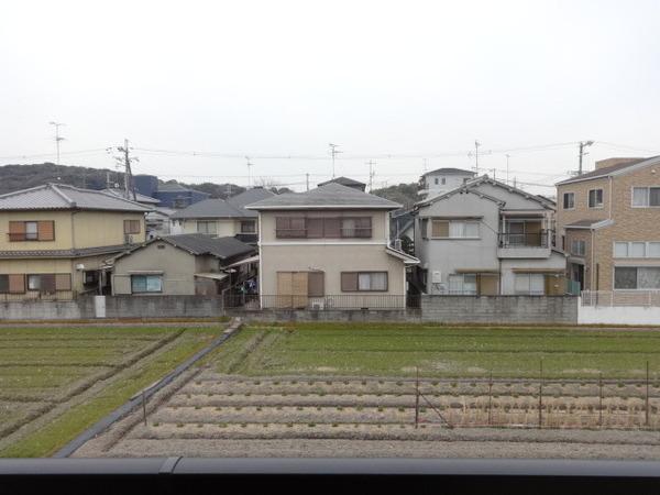 ラフィネアルブル
