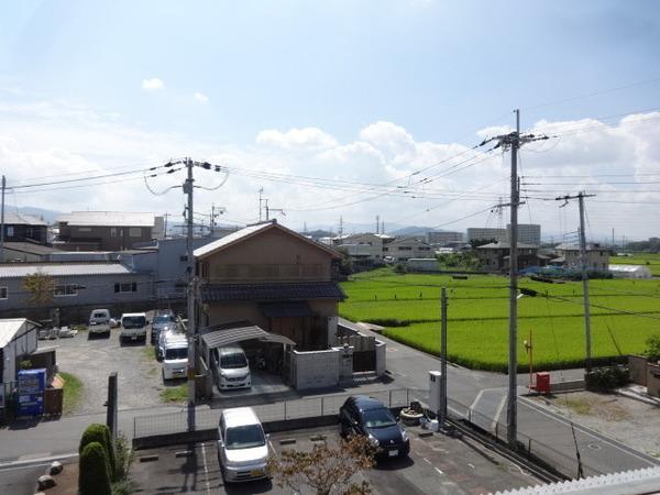 アルティスタ