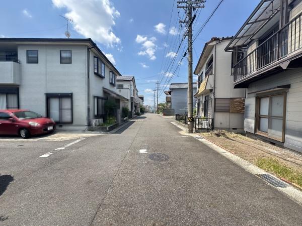 ネコと子犬のワルツ