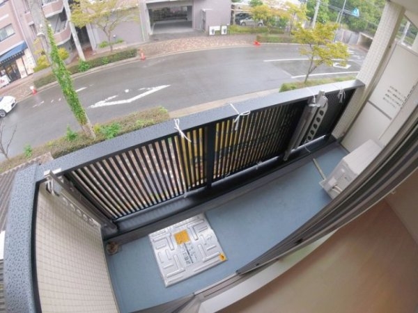 パレス花水木