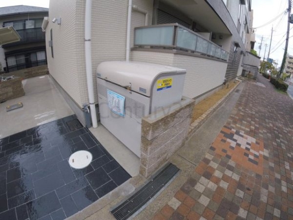パレス花水木