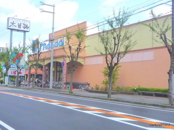 アリスオブゴールデンバッハ(万代　逆瀬川店)