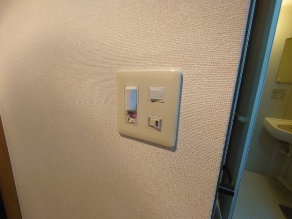 アリスオブゴールデンバッハ