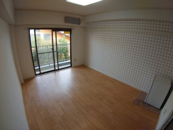 センチュリーショウエイ6