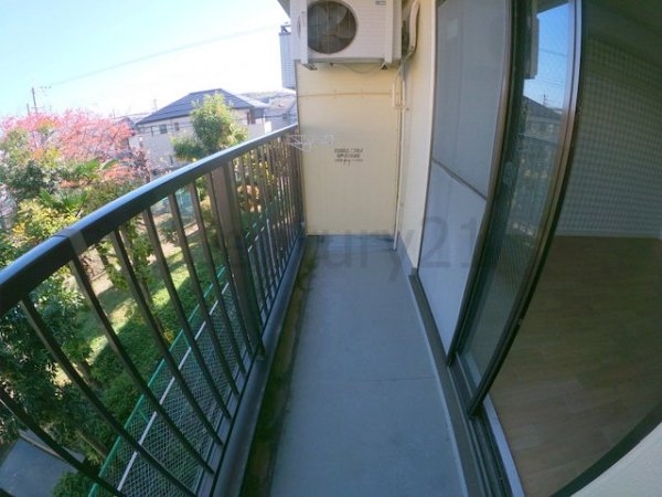 センチュリーショウエイ6