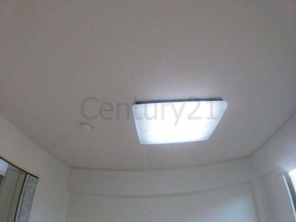 センチュリーショウエイ6