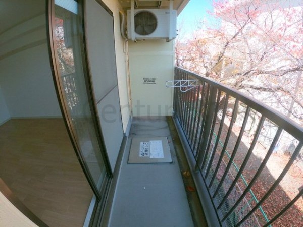 センチュリーショウエイ6