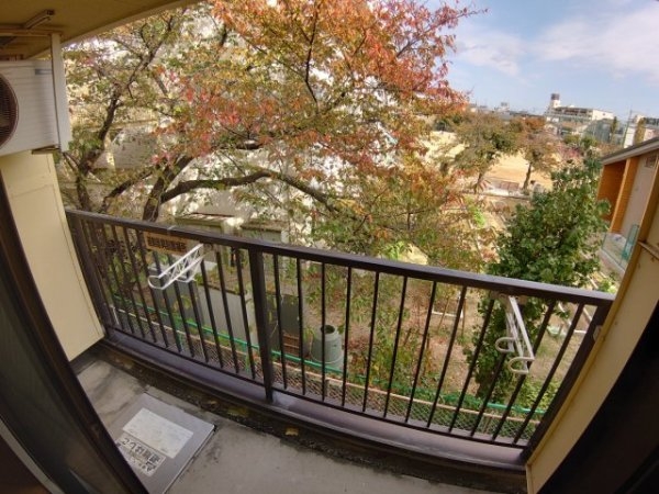 センチュリーショウエイ6