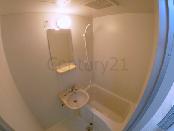 センチュリーショウエイ6