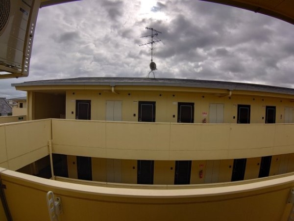 センチュリーショウエイ3