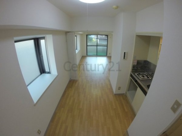 センチュリーショウエイ2