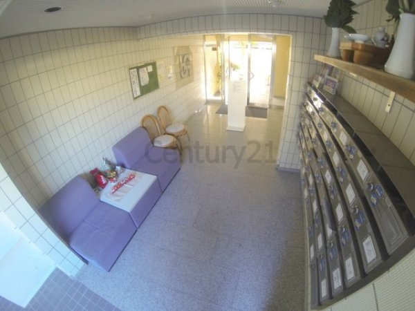 センチュリーショウエイ1