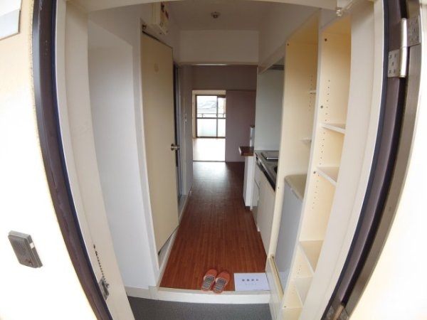 センチュリーショウエイ5