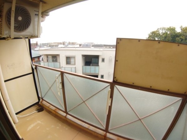 センチュリーショウエイ5