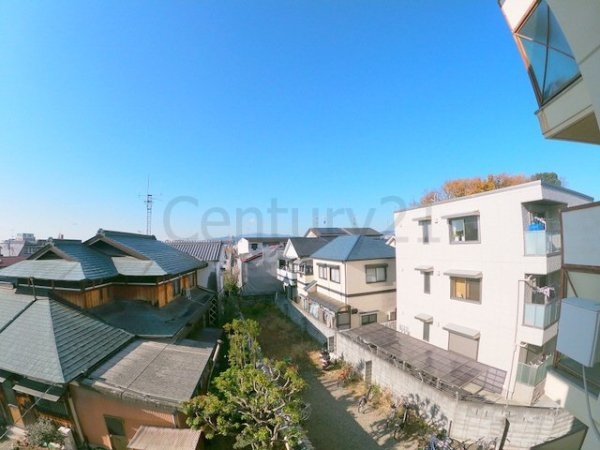 センチュリーショウエイ5