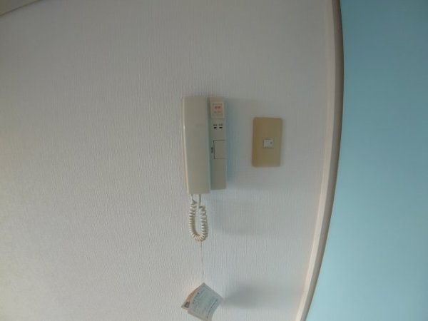 センチュリーショウエイ5