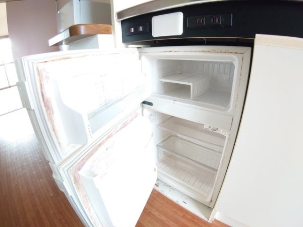 センチュリーショウエイ5