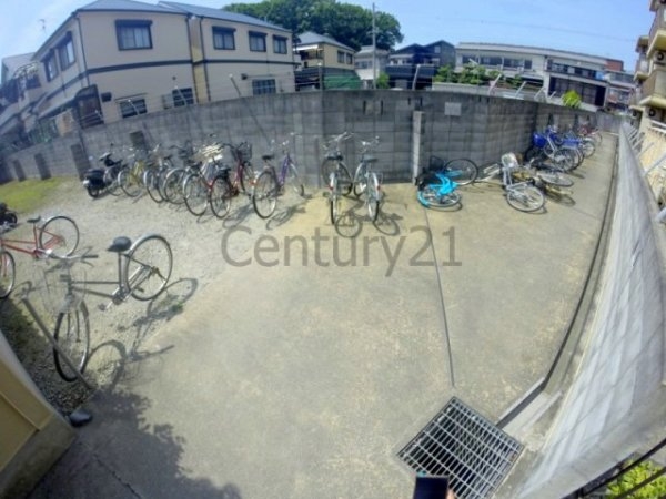 センチュリーショウエイ5