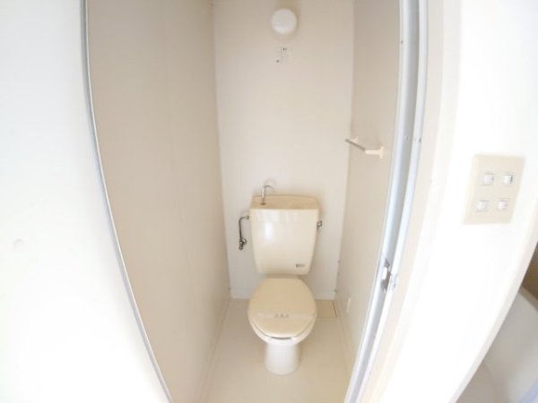 センチュリーショウエイ5