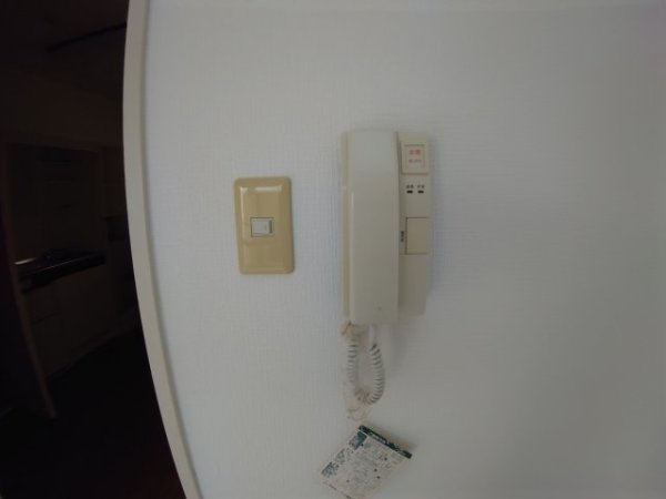 センチュリーショウエイ5