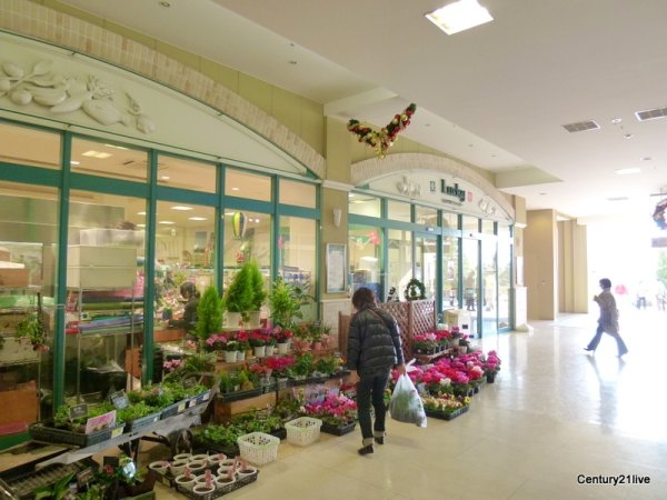 ハイツ中山(ラッキー中山寺店)