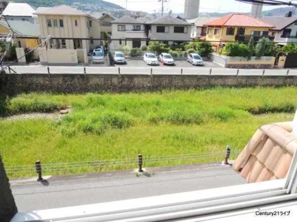 リノ逆瀬川