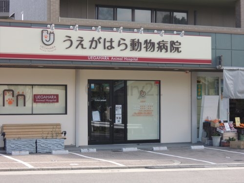 西宮市上ケ原一番町のマンション(うえがはら動物病院)