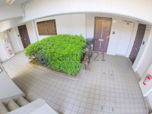 伊丹市瑞ケ丘３丁目のマンション