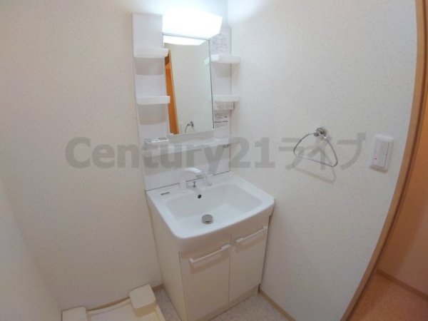 パークハイツ(段上町8丁目)(洗面台・洗面所)